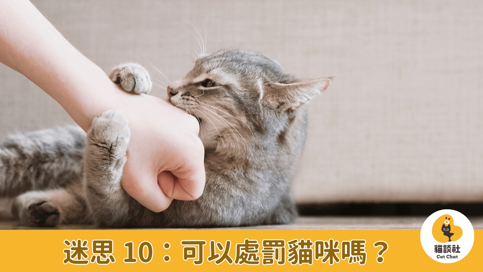 貓咪處罰