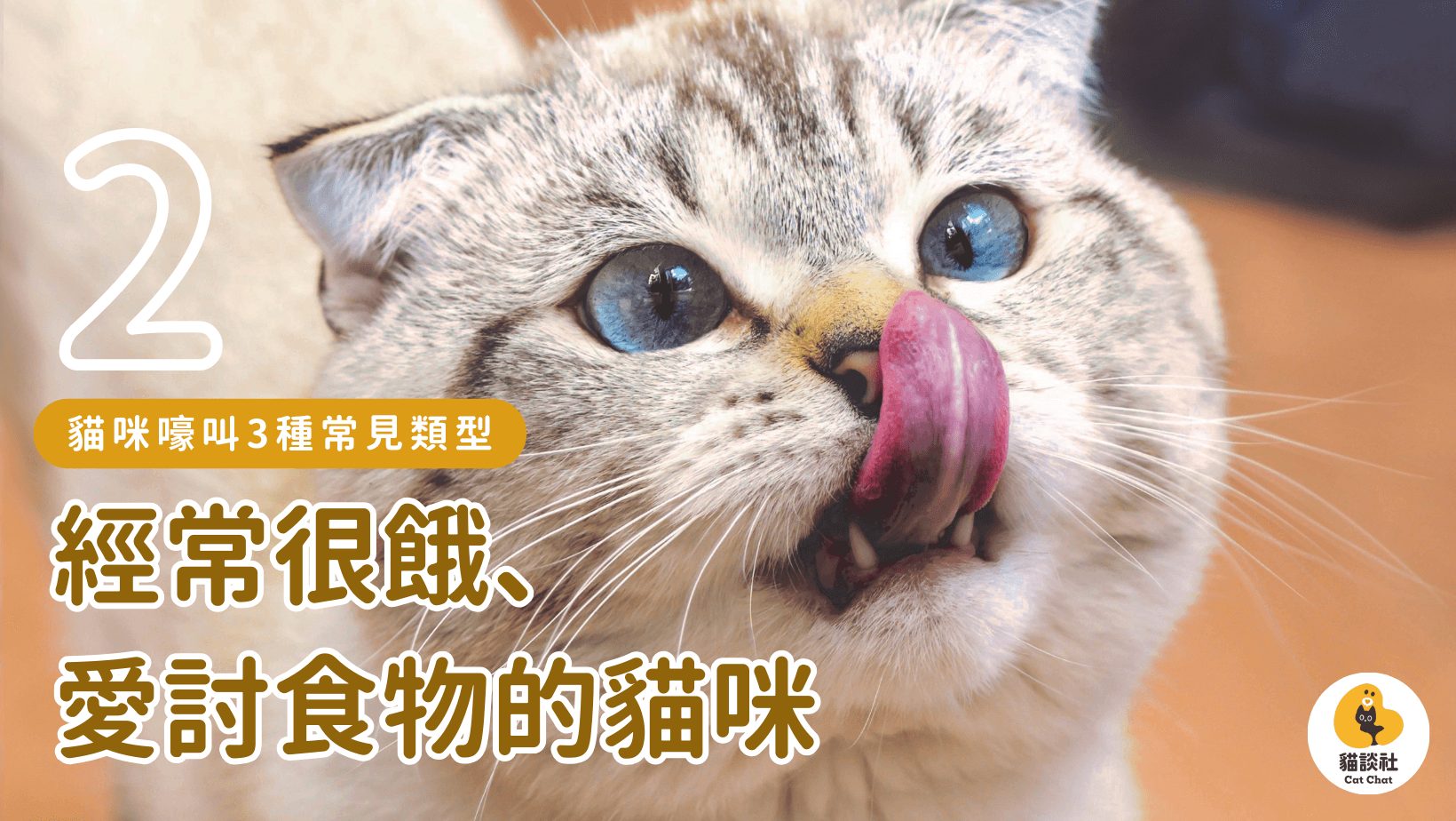 貓一直叫