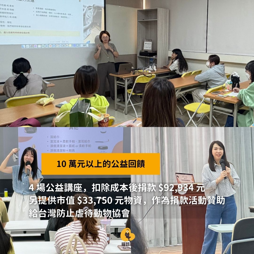 貓談社的諮詢師們分享貓行為知識