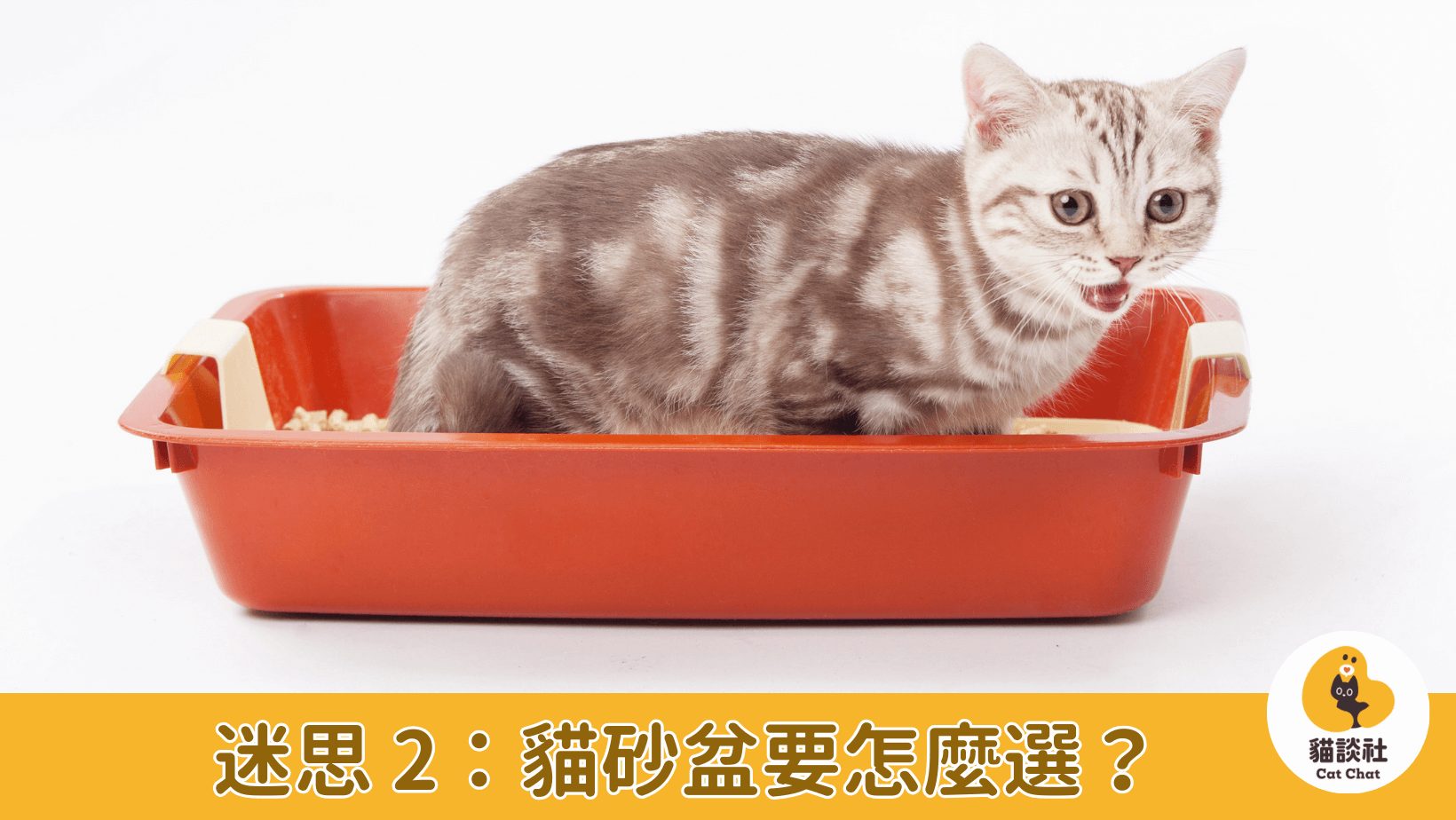 貓砂盆怎麼選