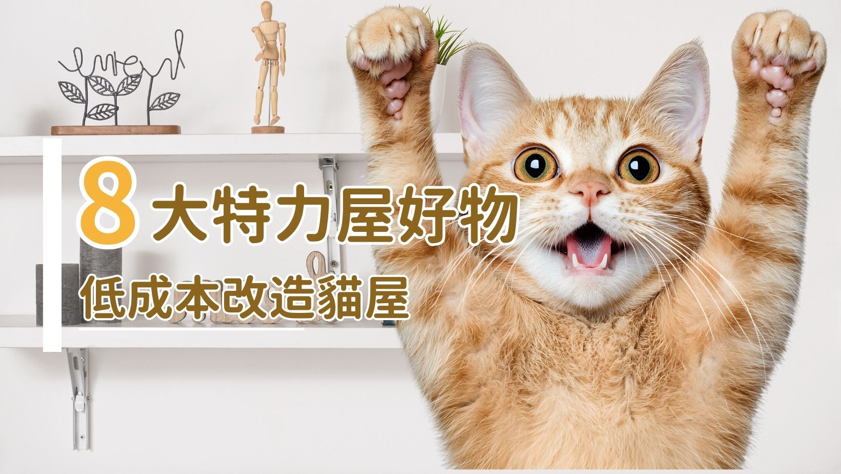 2025特力屋8大好物推薦