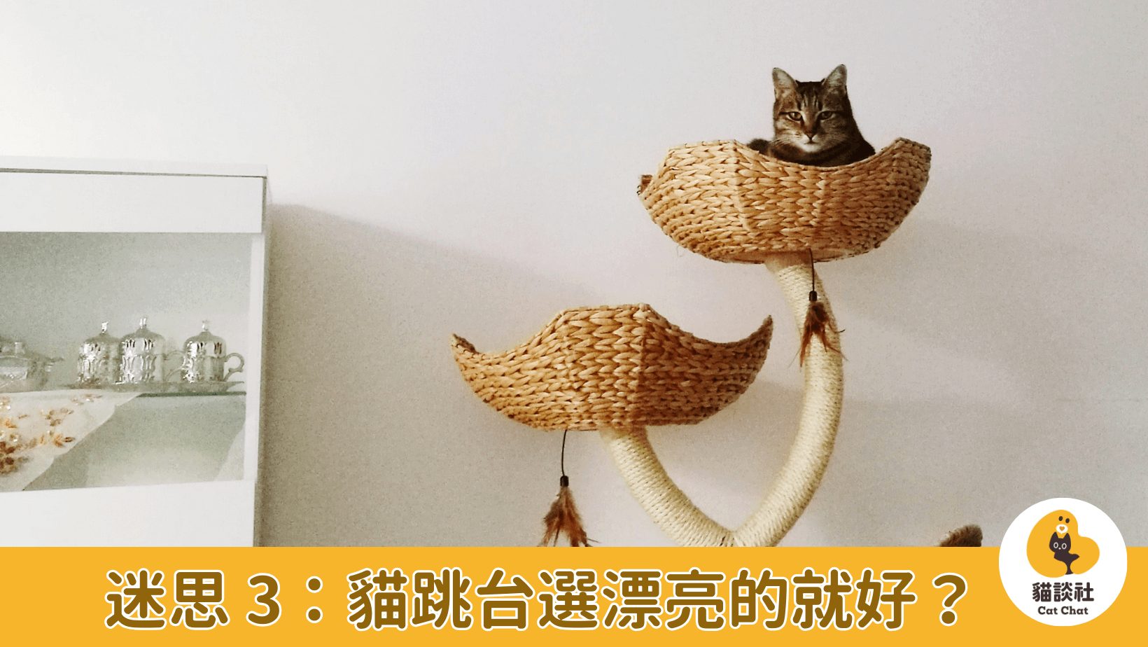 貓跳台