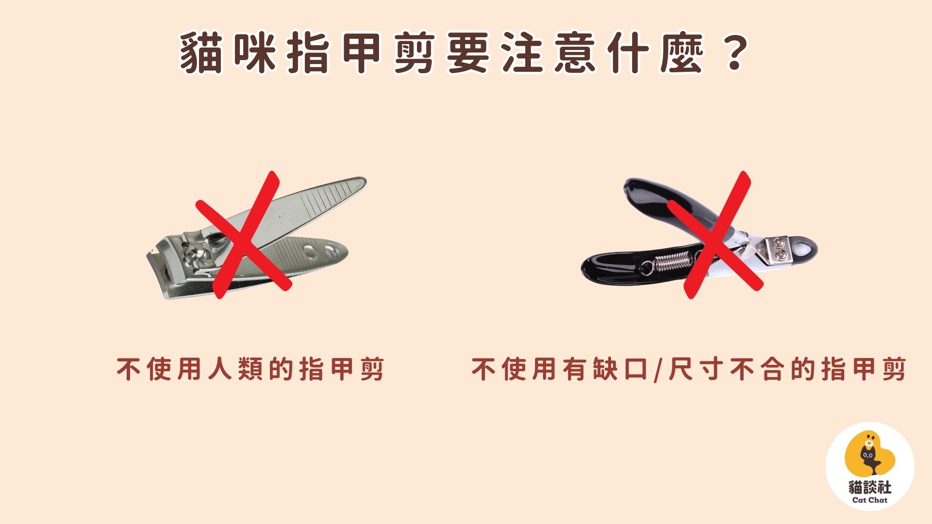 貓咪剪指甲