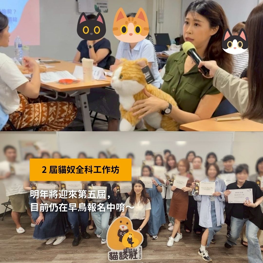 貓談社舉辦了兩屆的貓奴工作坊,獲得廣大好評,2026年的工作坊正在報名中