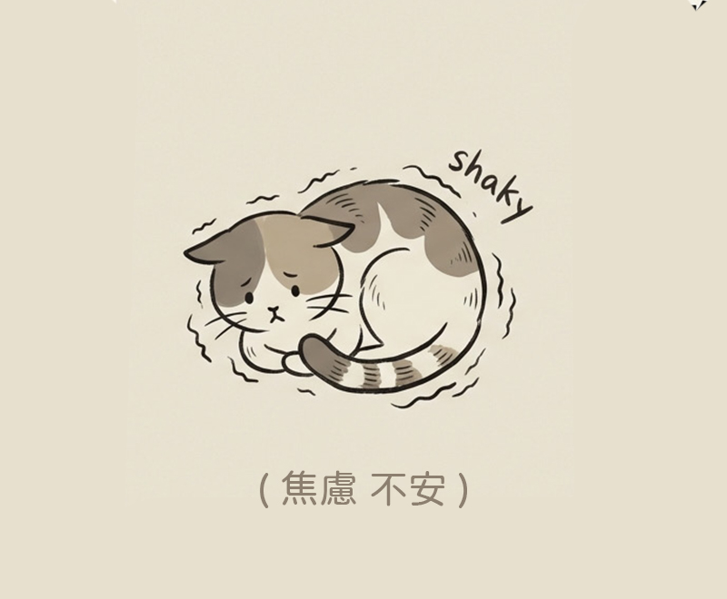 貓咪嚎叫原因第三類情緒不安型嚎叫