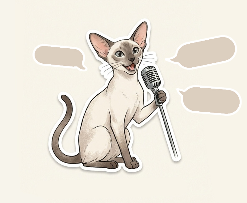 貓咪嚎叫原因第四類:話癆型嚎叫(天生個性愛講話)