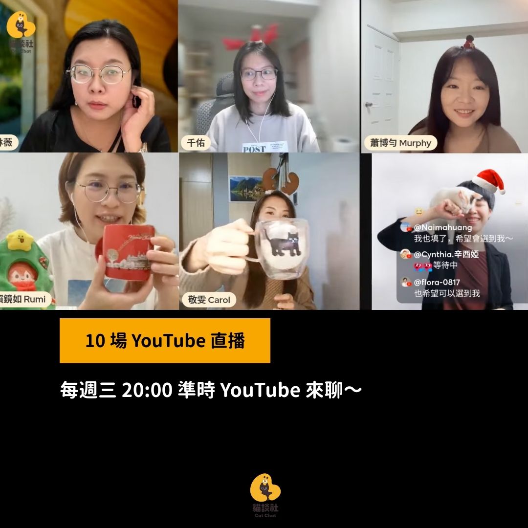 貓談˙設在2025年開了10場的直播,和觀眾分享養貓的趣事和抱怨