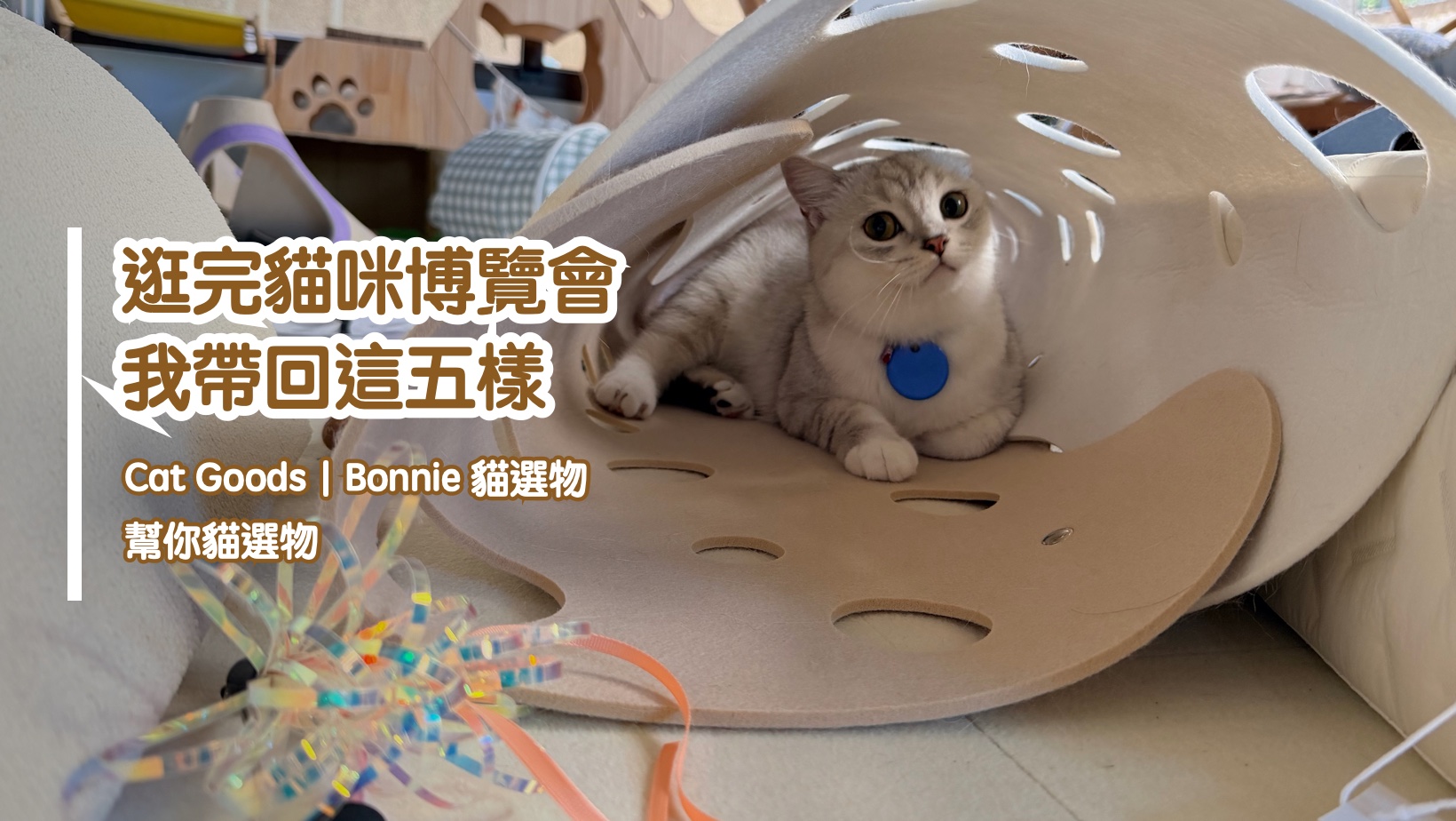 逛完貓咪博覽會,我帶回這五樣|Bonnie 貓選物