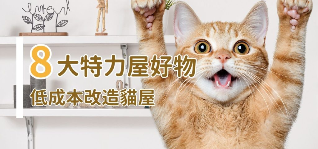 2025特力屋8大好物推薦