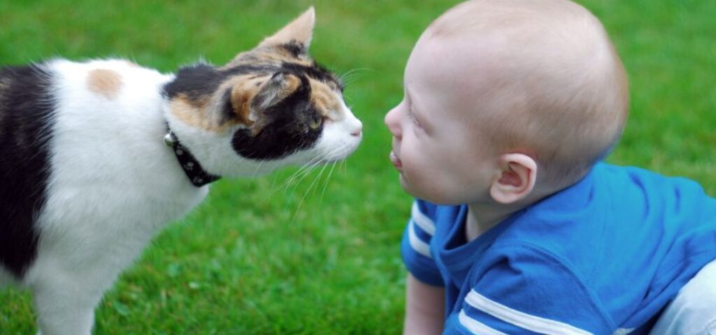 catandbaby