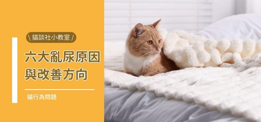 封亂尿策略v2 封亂尿策略v2