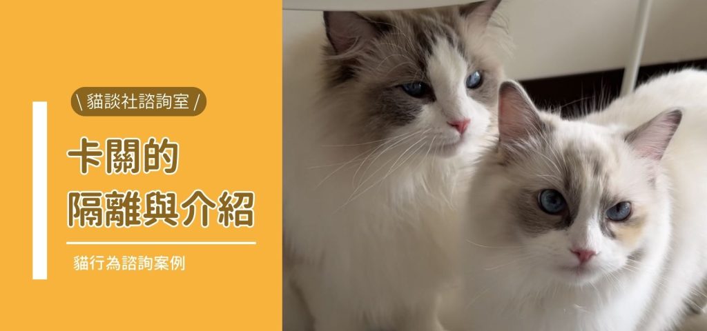 封卡關得隔離介紹C