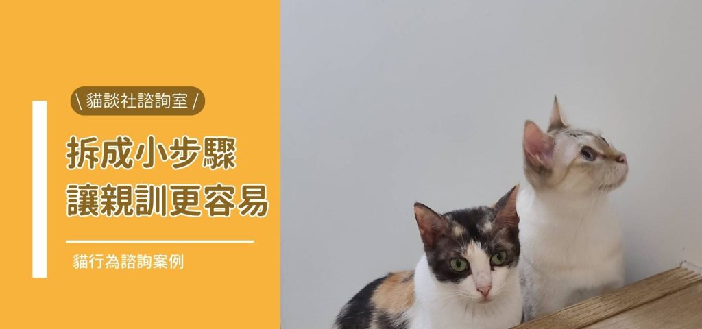 封親訓容易
