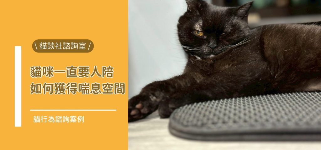 封貓高需求