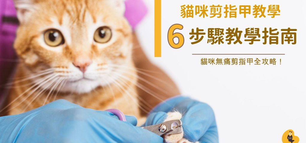 直播4 剪指甲入門