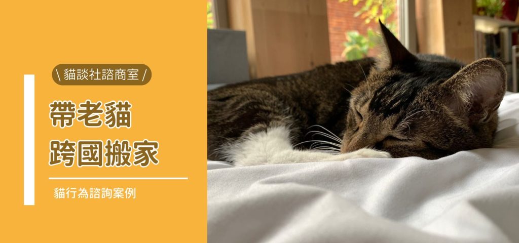 網頁 荷蘭搬家