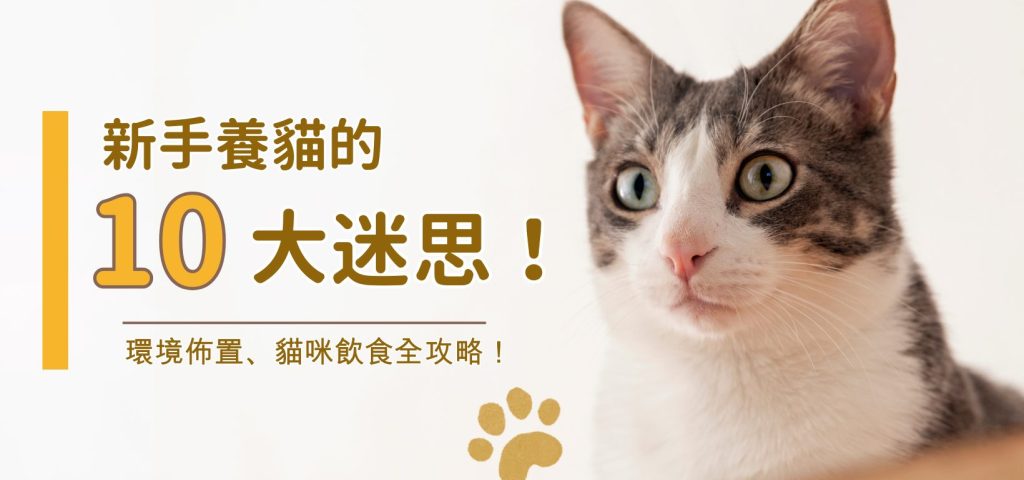 貓談社