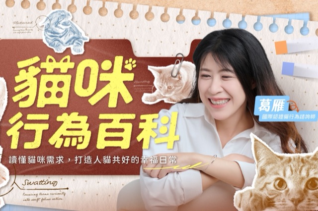 《貓咪行為百科》主視覺:葛雁與貓