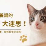 貓談社