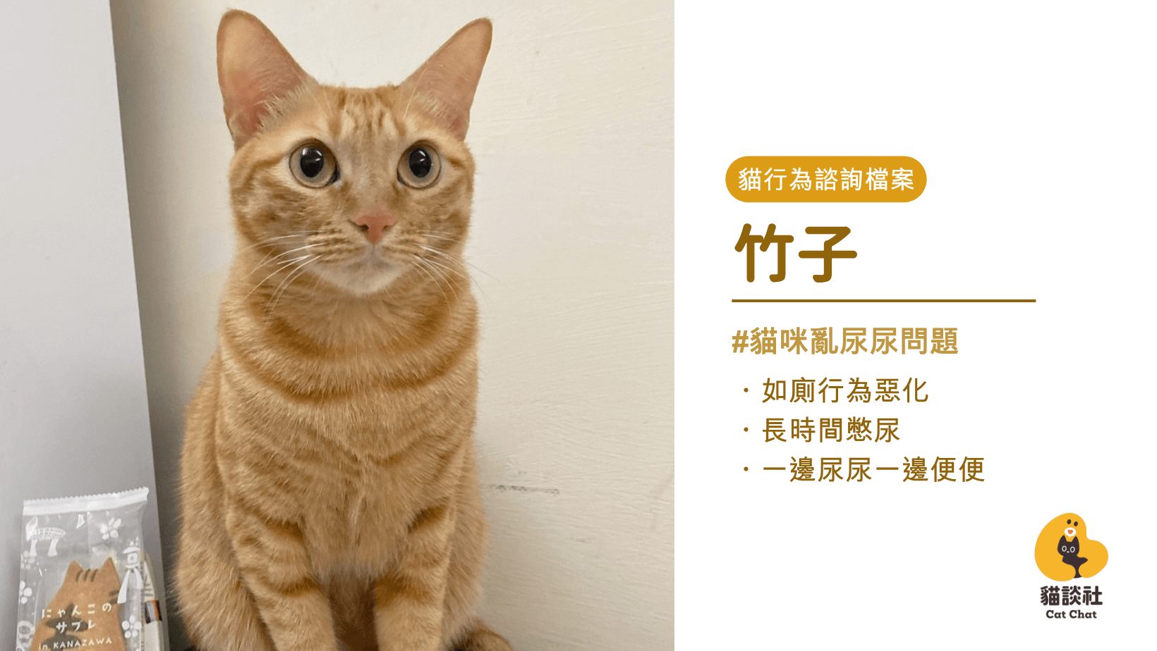 貓咪亂尿尿
